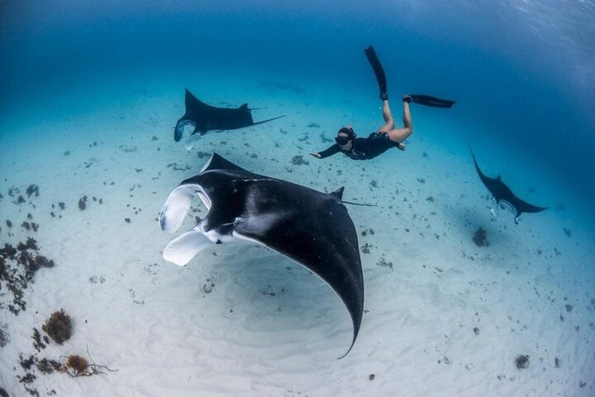 Snorkeling